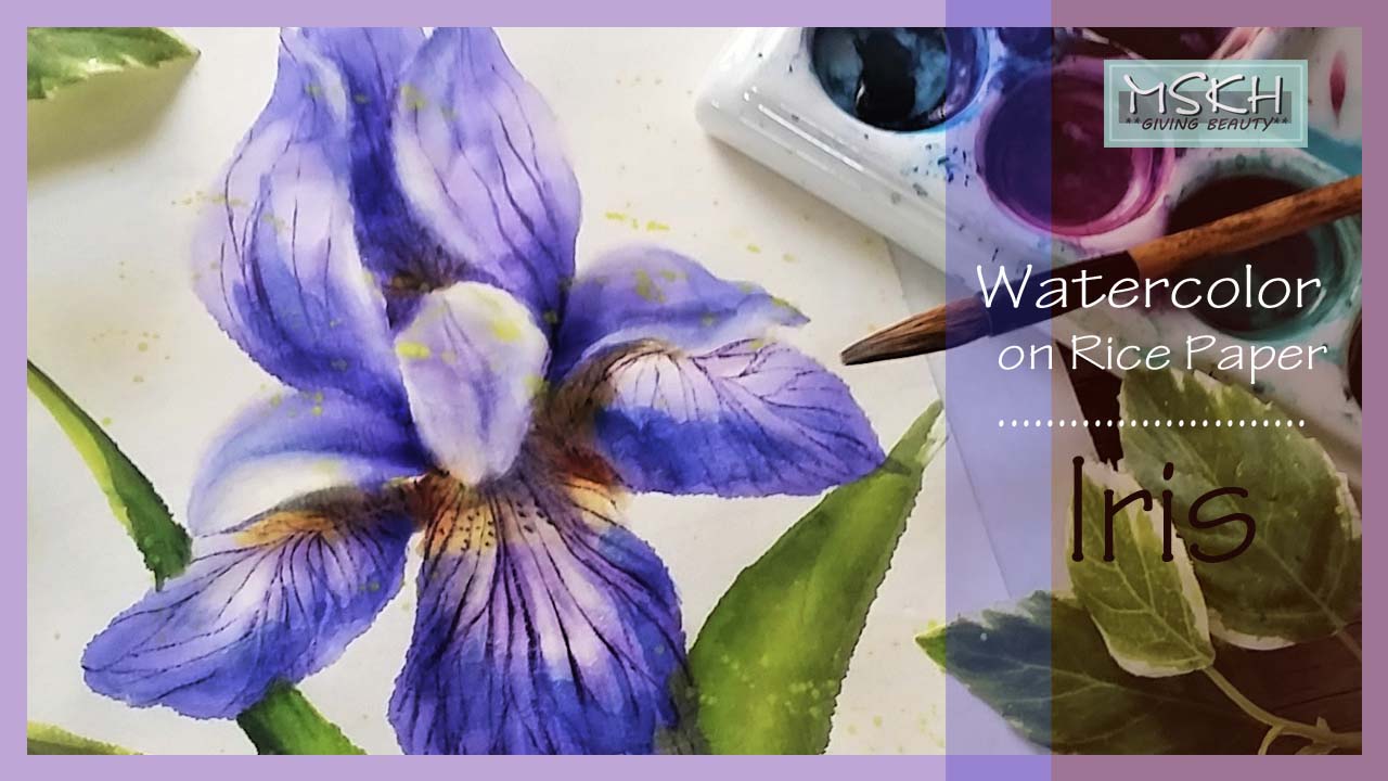 iris1 thumbnail